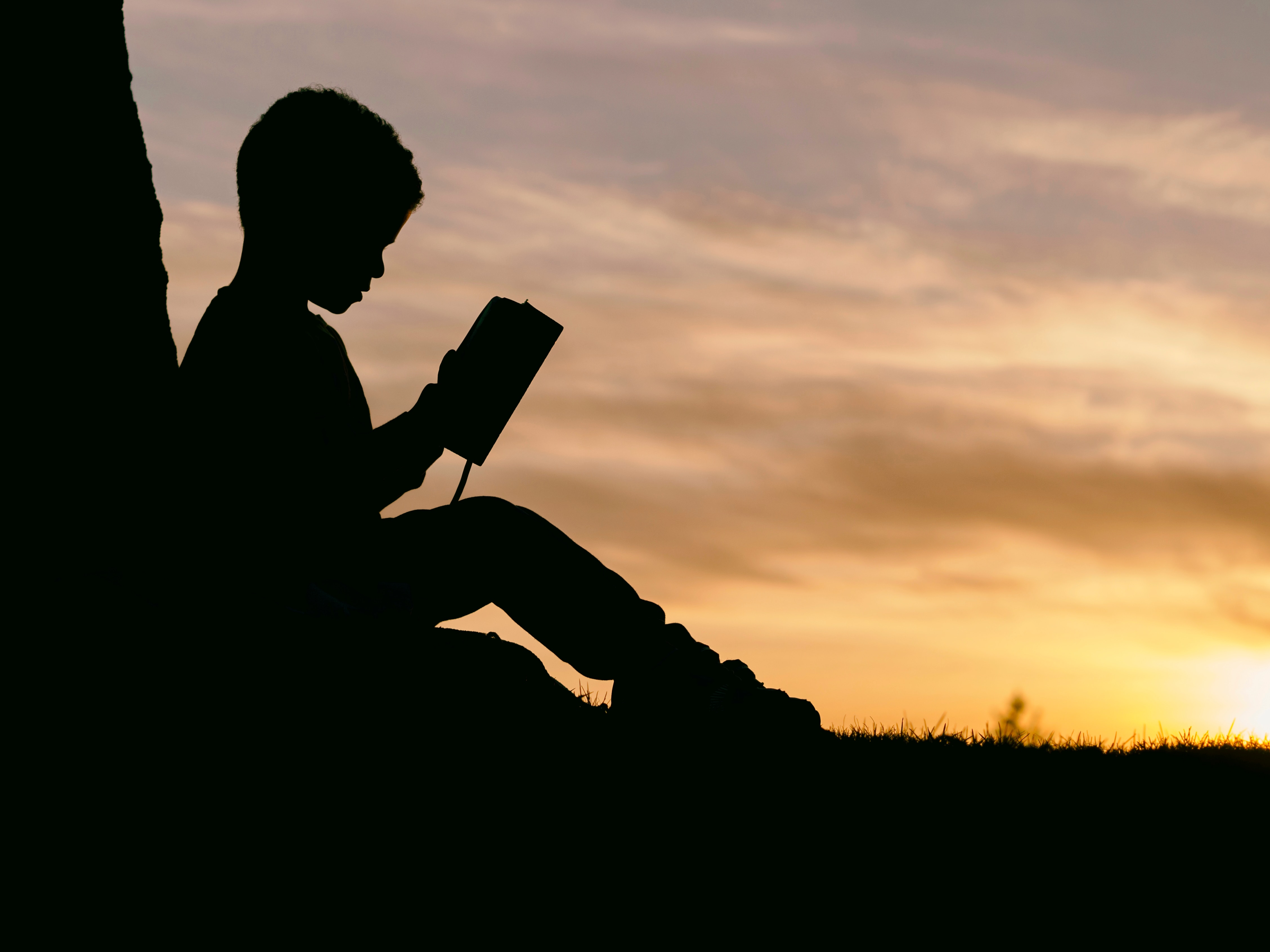 the silhouette of a boy that is reading a book under a tree